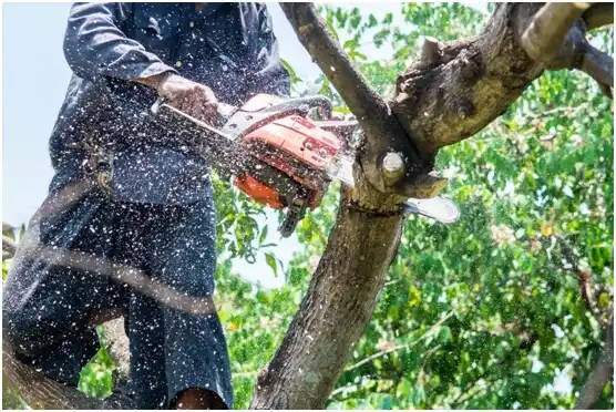 tree services Manning